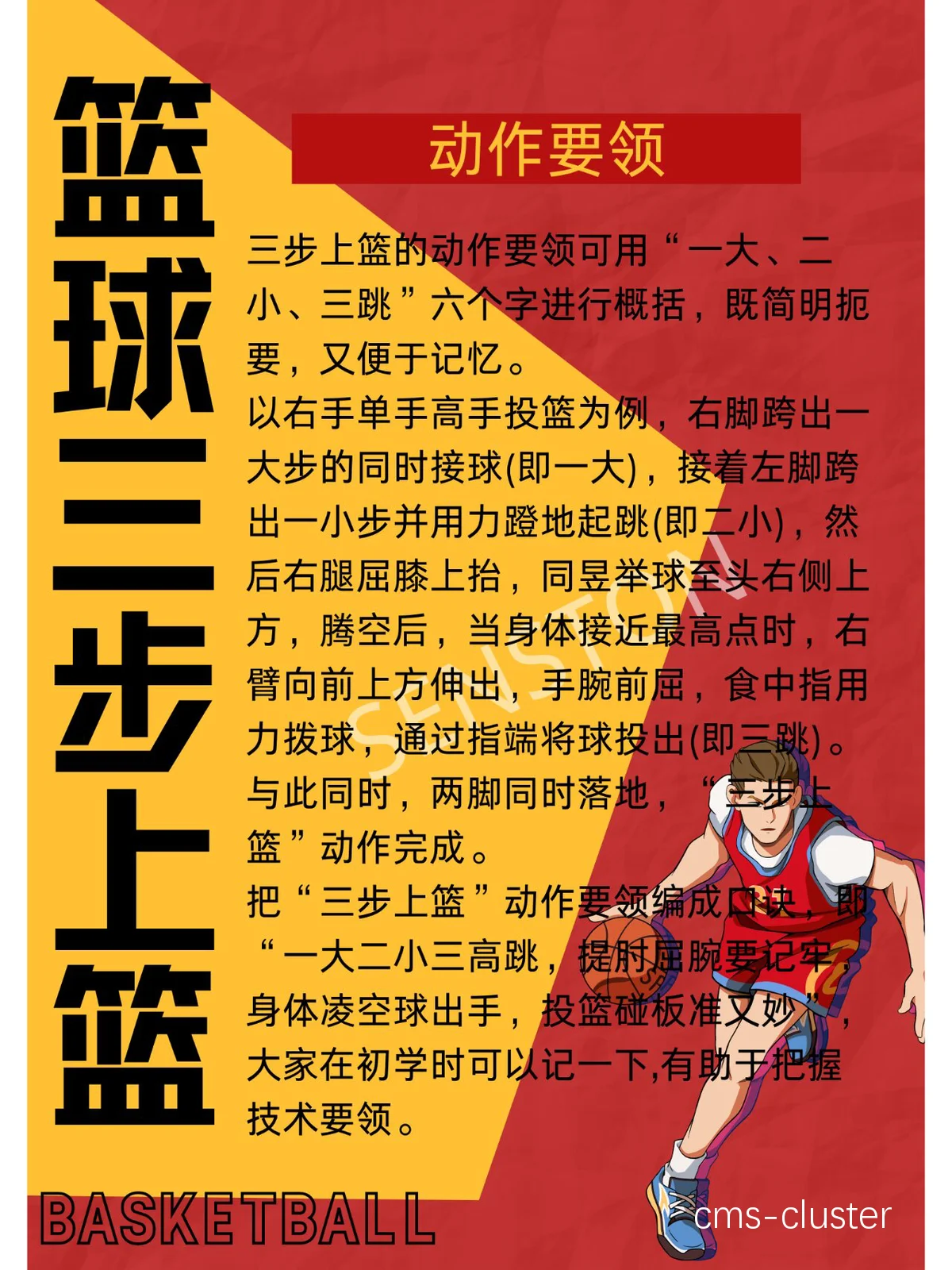 如何使用篮球训练器材进行全身锻炼