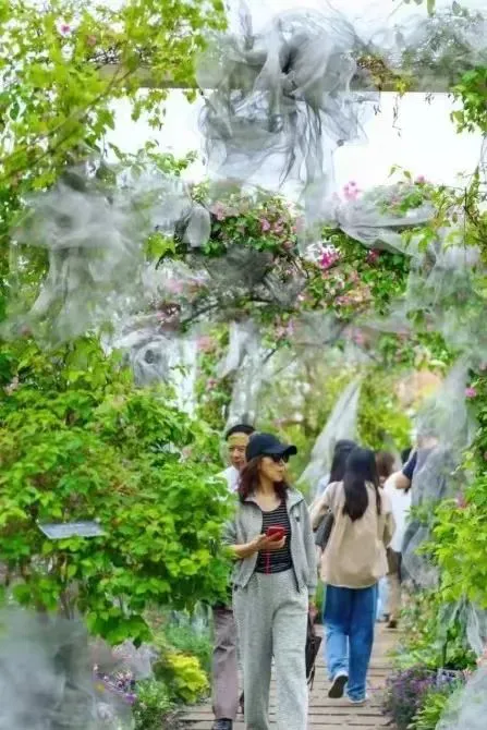 资深篮球教练推荐的训练规矩_2